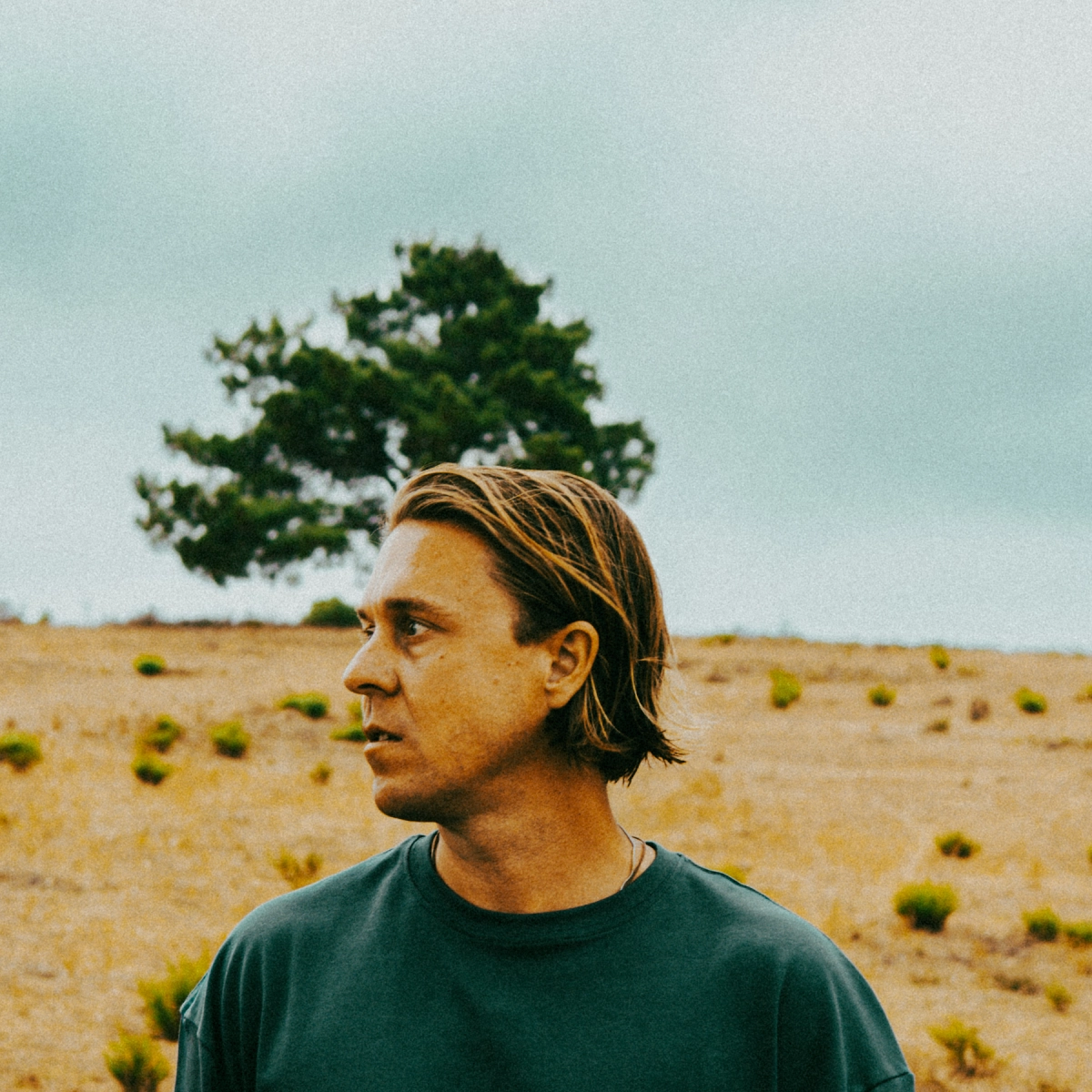 The Franklin Electric